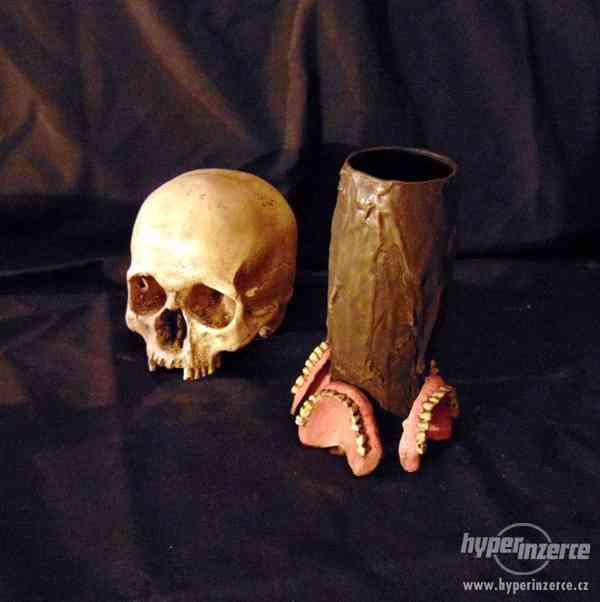 Repliky lidských lebek a kostí - výrobky z lidských ostatků - foto 2