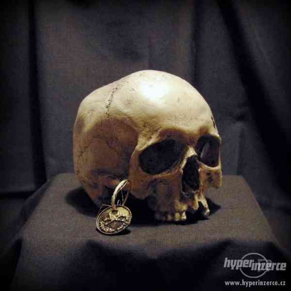 Repliky lidských lebek a kostí - výrobky z lidských ostatků - foto 3
