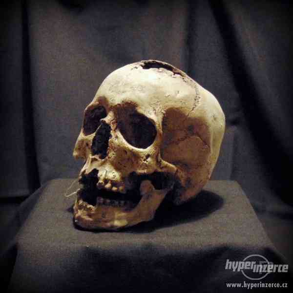Repliky lidských lebek a kostí - výrobky z lidských ostatků - foto 4