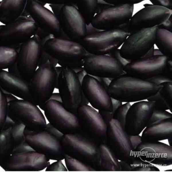 Podzemnice olejná ( Arašíd ) - Black - semena 3 ks - foto 2