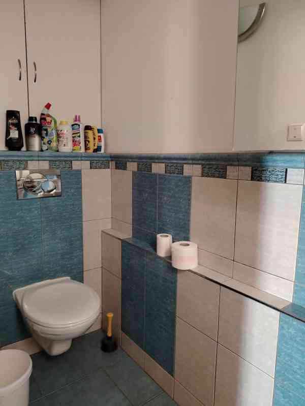 3+1/B, 75 m2, Tábor, ul. Havanská  - foto 9