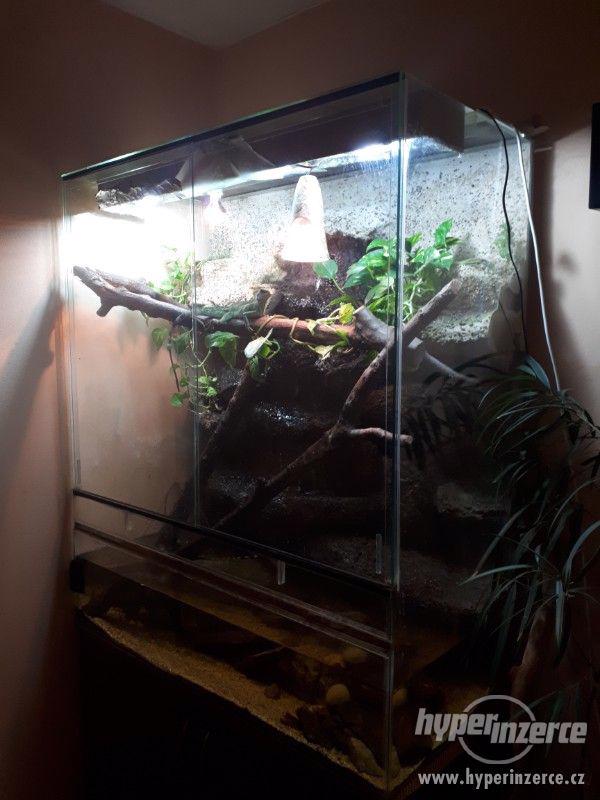 Paludárium 1200x600x1400 (d*h*v mm) - foto 1