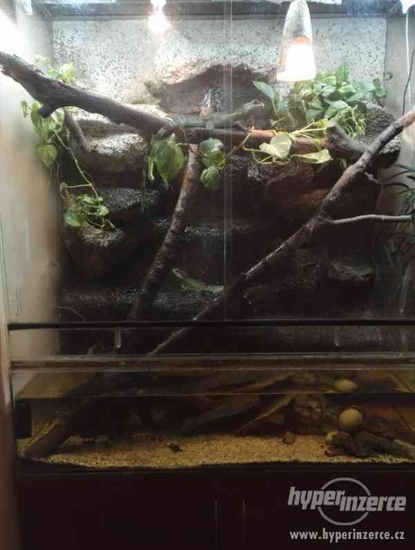 Paludárium 1200x600x1400 (d*h*v mm) - foto 2