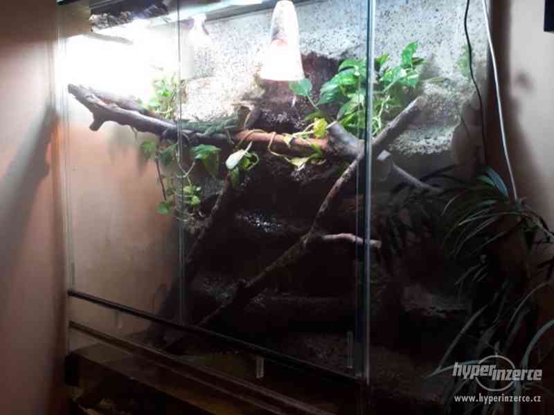 Paludárium 1200x600x1400 (d*h*v mm) - foto 4