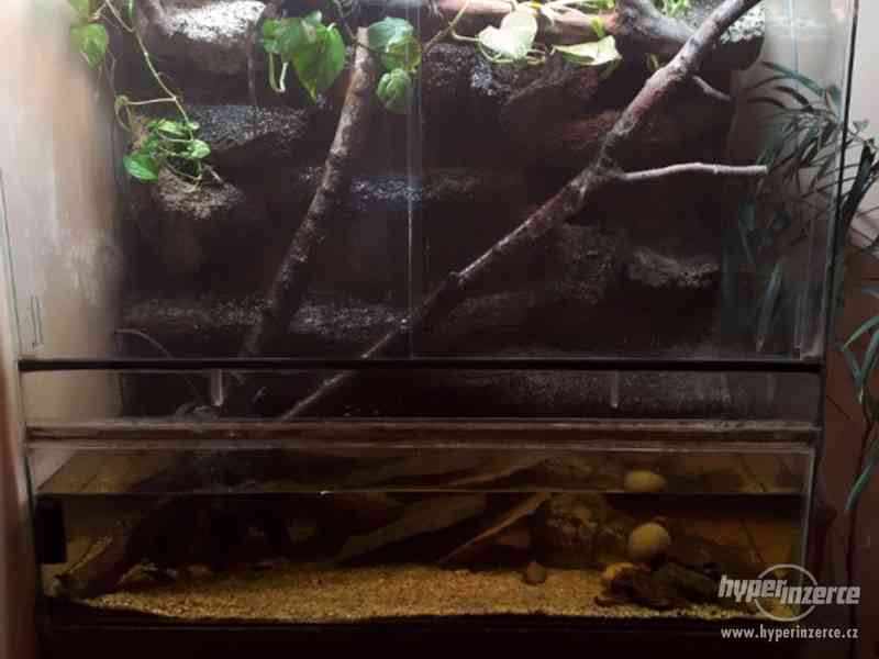 Paludárium 1200x600x1400 (d*h*v mm) - foto 5