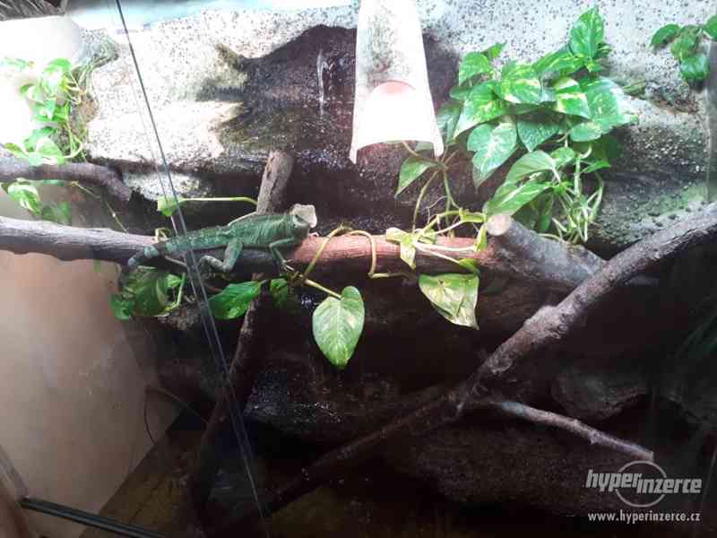 Paludárium 1200x600x1400 (d*h*v mm) - foto 7