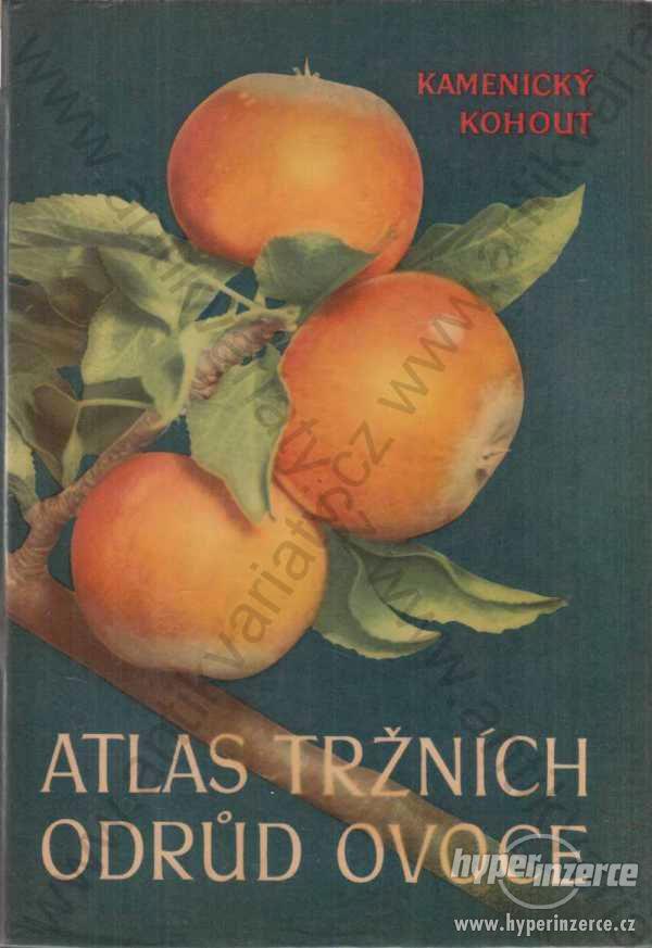 Atlas tržních odrůd ovoce K. Kamenický, K. Kohout - foto 1