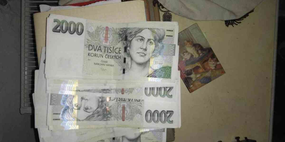 Finanční pomoc od soukromého investora