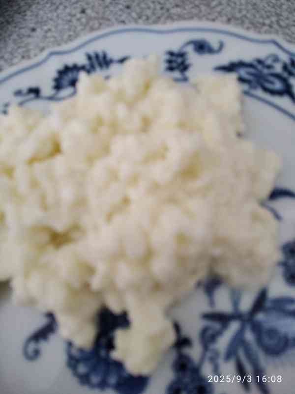 Kefírová zrna na výrobu domácího kefíru - foto 2