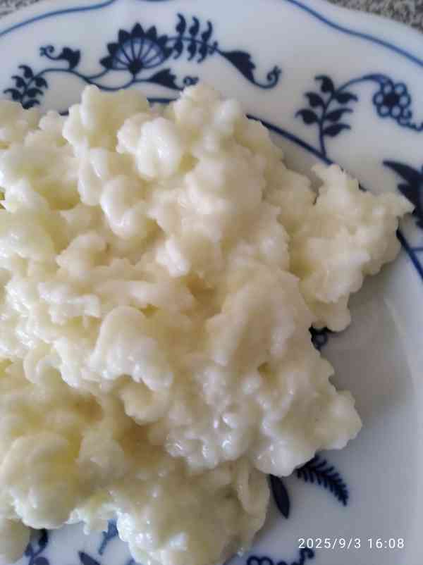 Kefírová zrna na výrobu domácího kefíru - foto 3