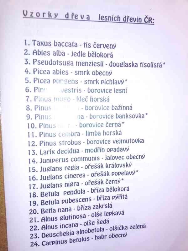 Vzorky pro učební obor (truhlář tesař a práce se dřevem) - foto 2