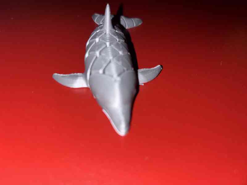 Pohyblivý delfín - foto 3