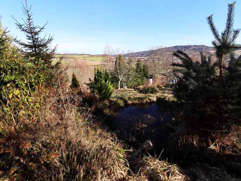 Prodej krajní zahrádky s chatkou v Sušici - foto 2