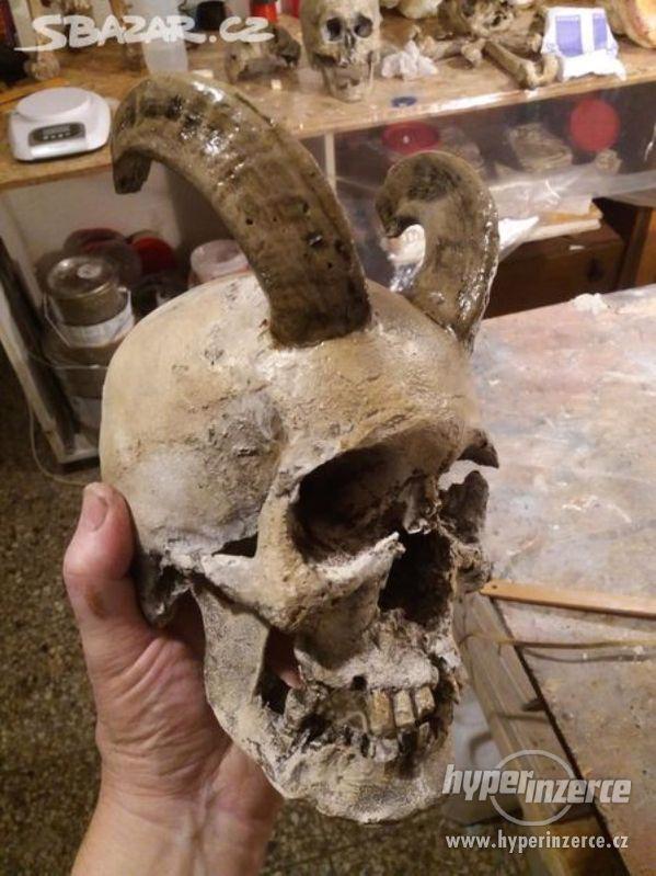 Dekorace z kovu a lidských lebek (human skull replica) - foto 9