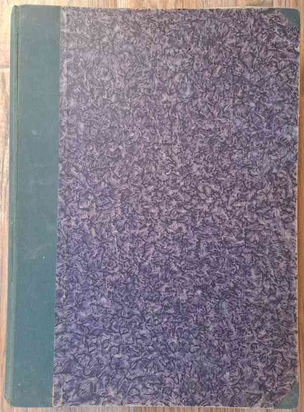 Rozkvět 1928 - foto 3