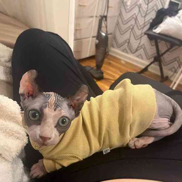 Vaše vrásčitá, vřelá nejlepší kamarádka! - foto 2