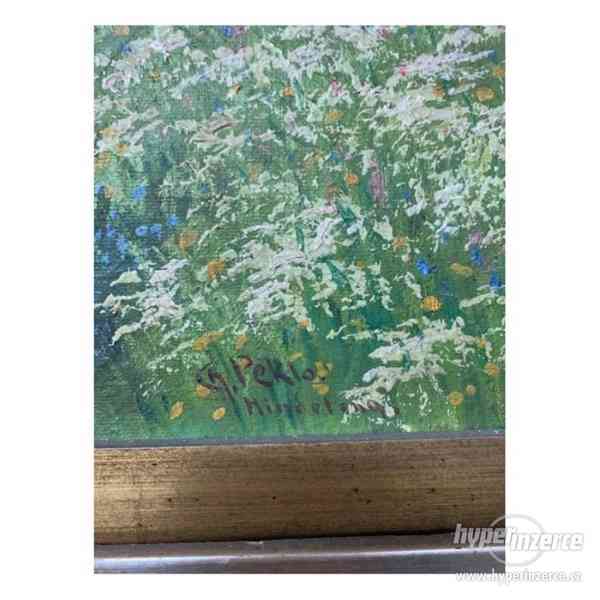 Obraz Peklo - horská krajina - foto 3