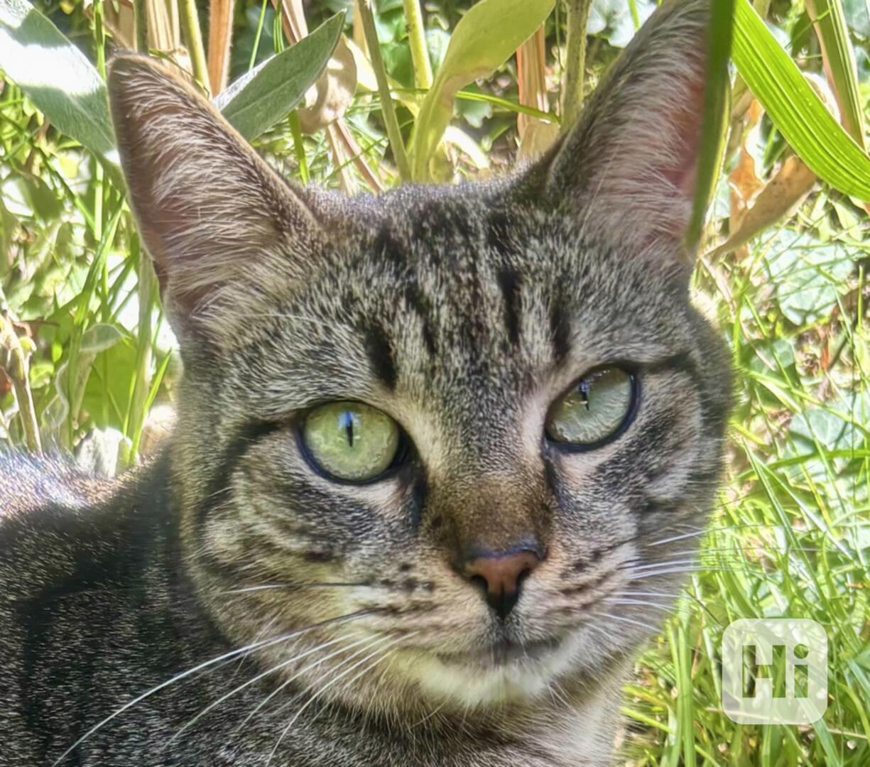 Mia hledá svůj vlastní domov - foto 1
