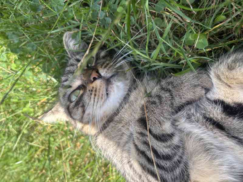 Mia hledá svůj vlastní domov - foto 5