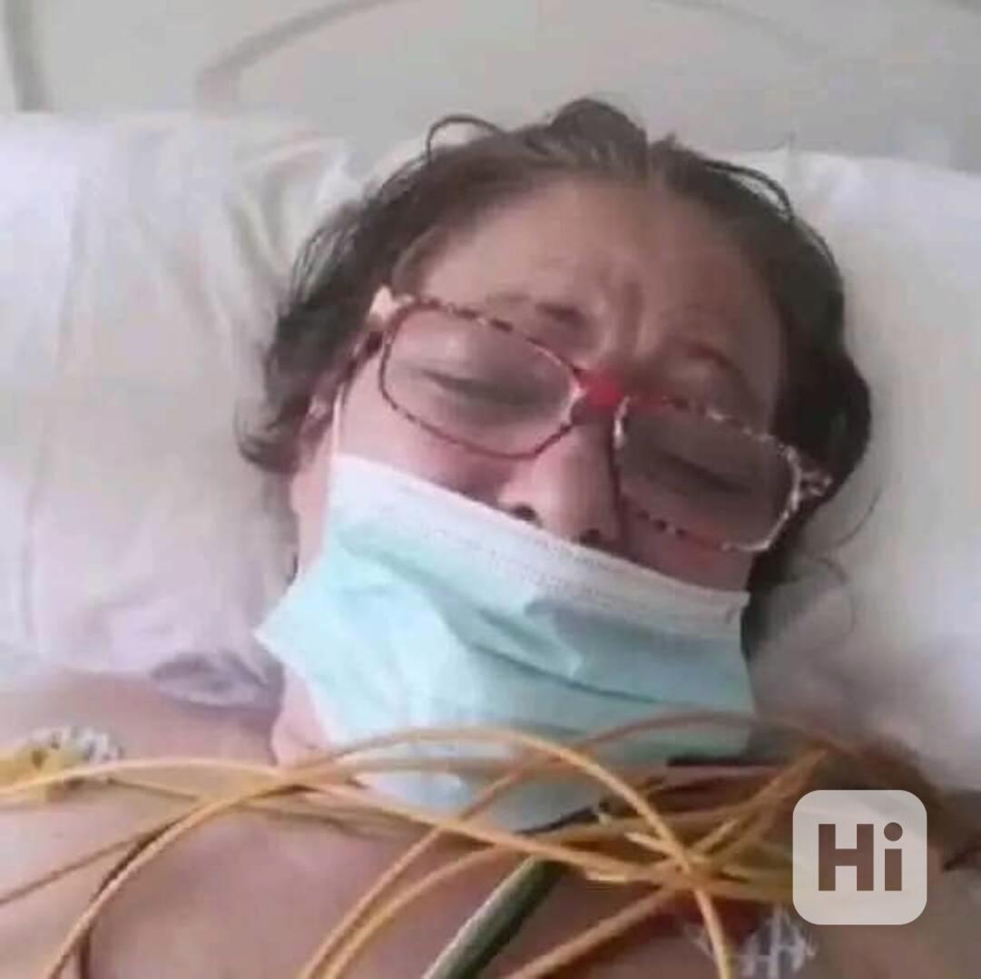 Daruji poctivému člověku  - foto 1