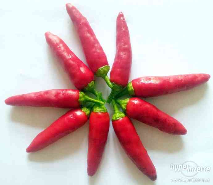 Naga XP - čerstvé chilli - foto 1