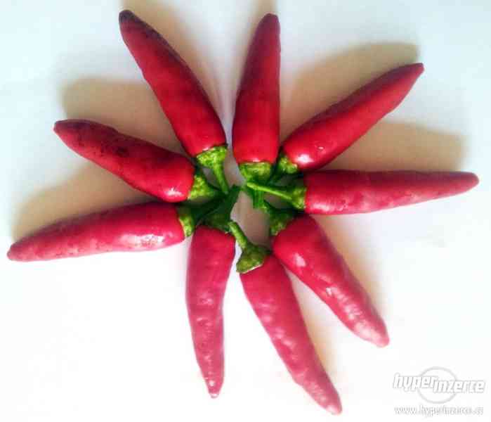 Naga XP - čerstvé chilli - foto 2