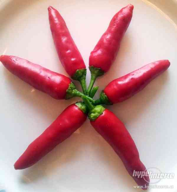 Naga XP - čerstvé chilli - foto 3