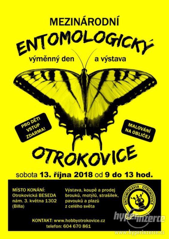 Entomologická výstava, OTROKOVICE, 13.10.2018 - foto 1