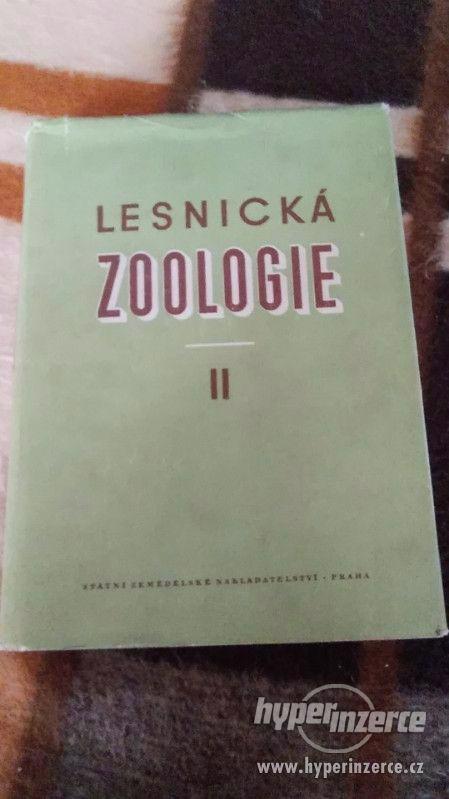Lesnická zoologie II. - foto 1