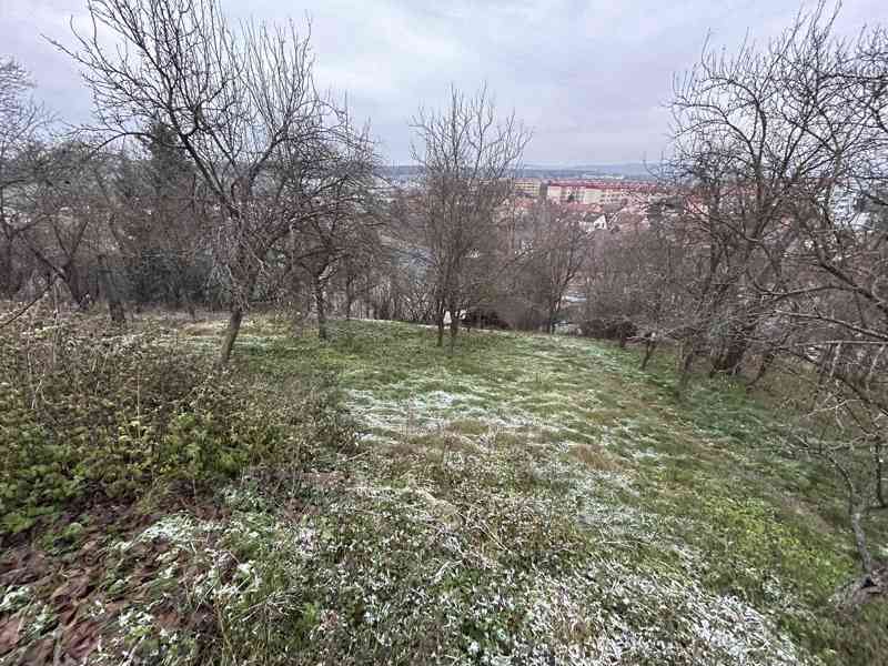 Prodej Domu Uherské Hradiště, Jarošov, 1551 m2 - foto 6