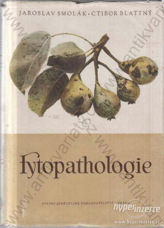 Fytopathologie J. Smolák, Ctibor Blattný 1954 - foto 1
