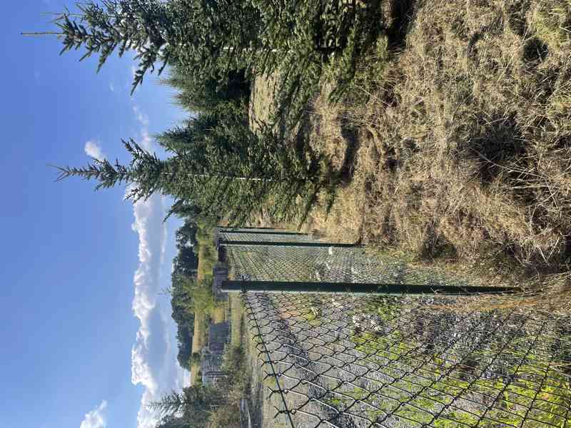 ÚDRŽBA POZEMKŮ A ZAHRAD - foto 3