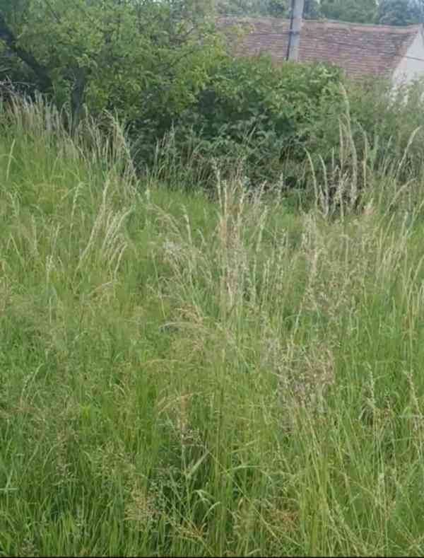 Služby hodinový manžel JM  - foto 3