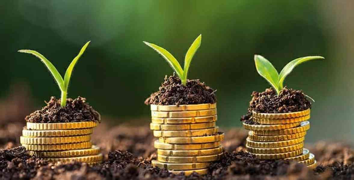 Projekty a aktivity - foto 2