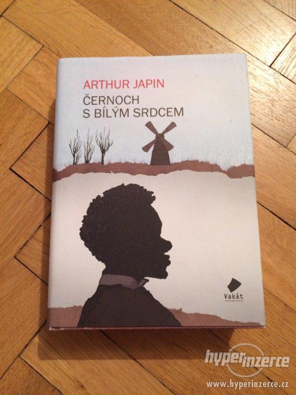 Arthur Japin: Černoch s bílým srdcem - foto 1