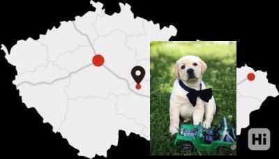 LABRADOR kluci s PP - foto 1
