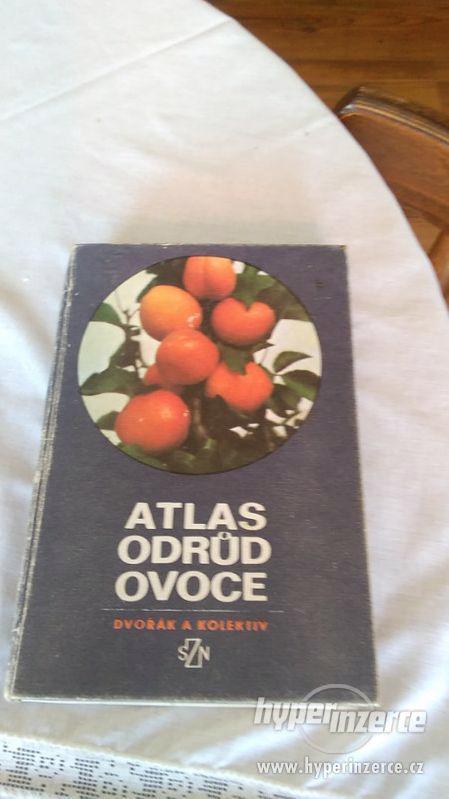 Atlas odrůd ovoce - foto 1