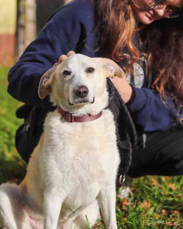 Poco Loco ❤ přátelský mazel ❤ - foto 12