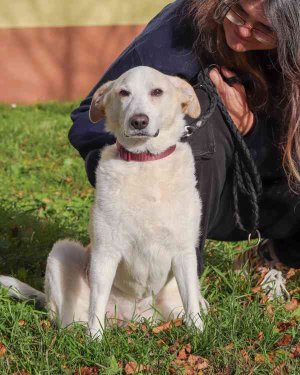 Poco Loco ❤ přátelský mazel ❤ - foto 15