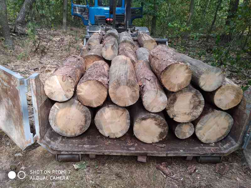 Palivové dřevo  - foto 3