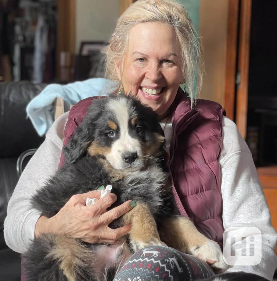 Bernský salašnický pes je perfektní společník - foto 1