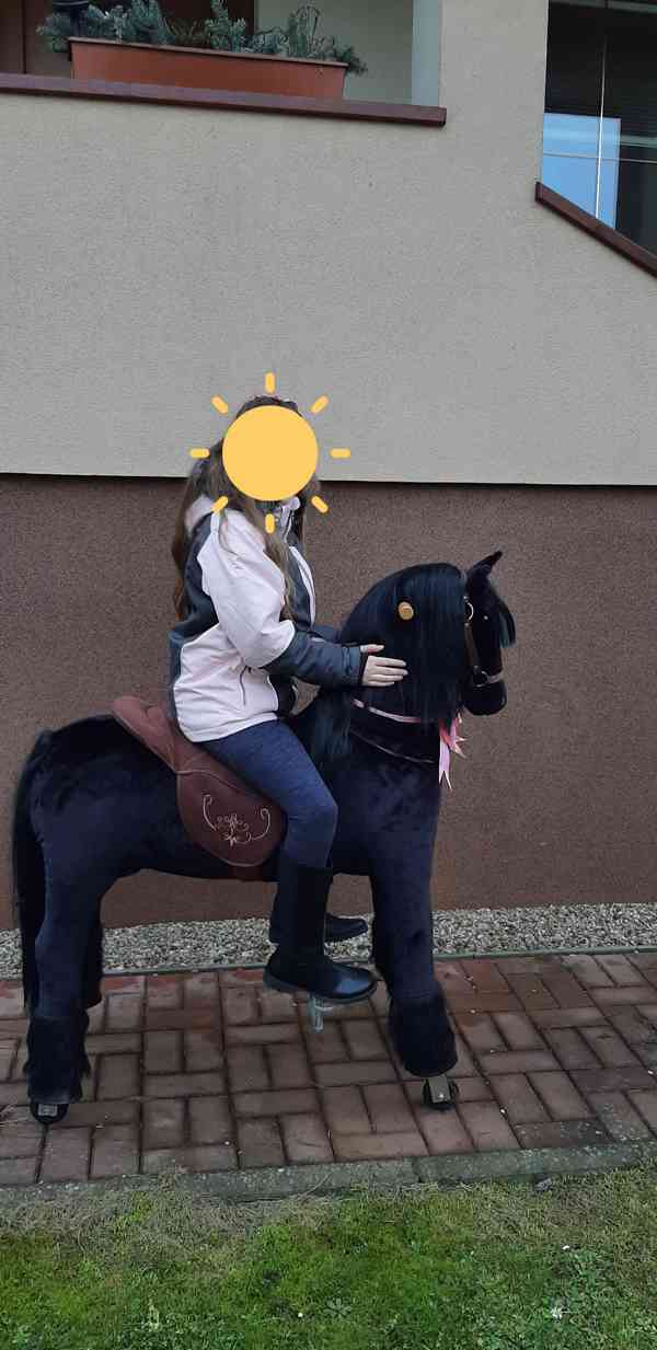 Jezdící kůň Ponnie Ebony XL profi - foto 3