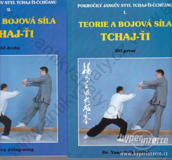 Teorie a bojová síla Tchaj-Ťi Dr. Yang Jwing-ming - foto 1