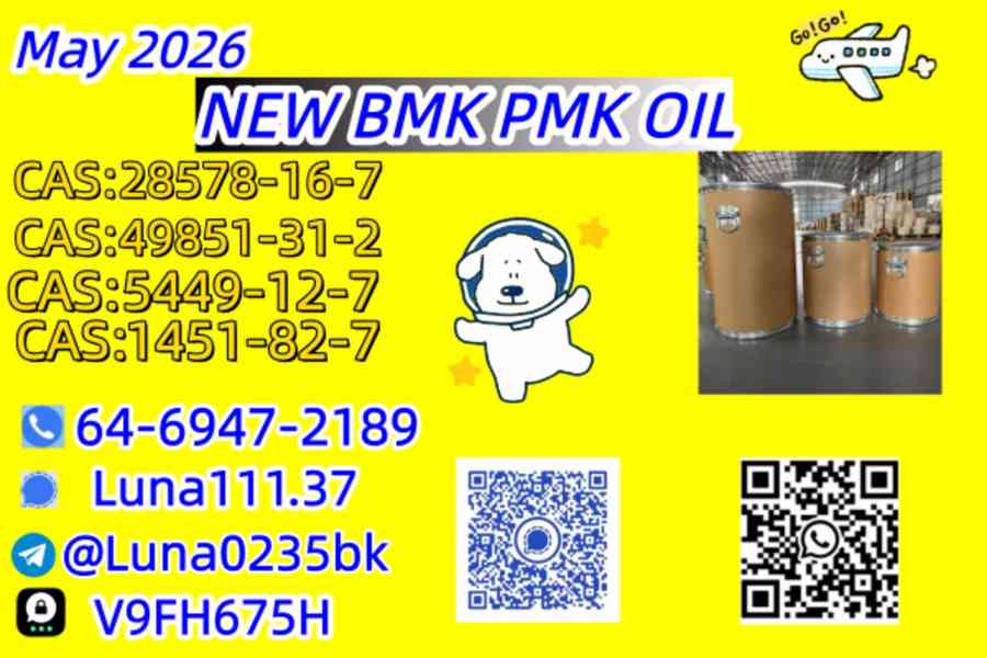 Premium quality product cas 28578-16-7 PMK Ethyl Glycidate