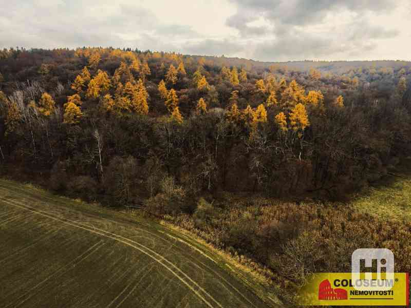Litenčice, orná půda, travní porost, lesní pozemek, 16 677 m2 – pozemek - foto 6