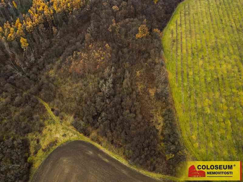 Litenčice, orná půda, travní porost, lesní pozemek, 16 677 m2 – pozemek - foto 2