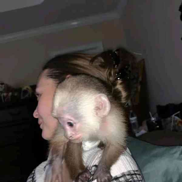  Domácí kapucíni pro děti.