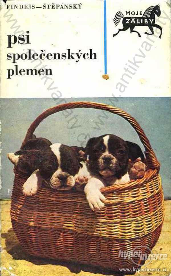 Psi společenských plemen Findejs, Štepánský 1973 - foto 1