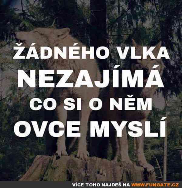 GmbH v Německu 