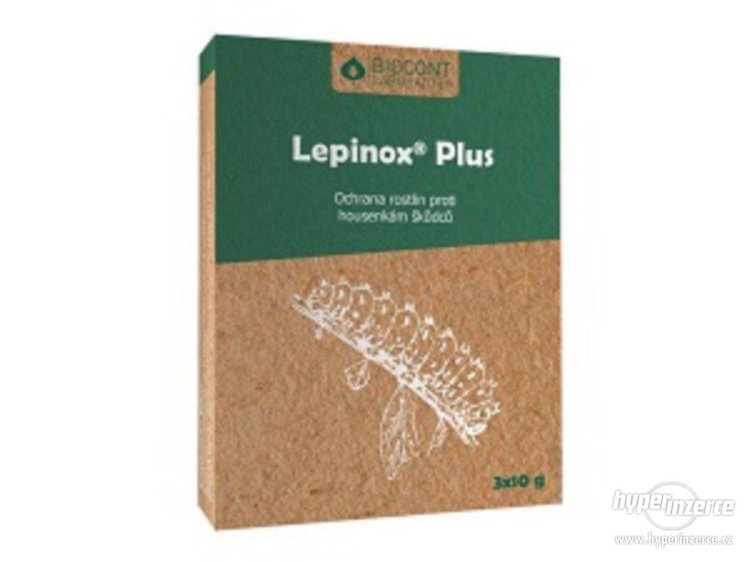 Ochrana Buxusu - Insekticid LEPINOX PLUS 3x10g - foto 1